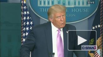 Трамп поддержал борьбу конспирологов с сатанистами-педофилами