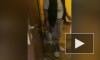 Опубликовано видео проникновения Соболь в чужую квартиру
