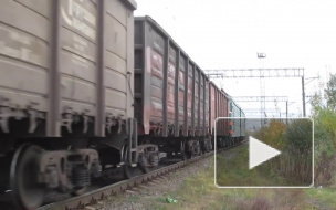 Пьяный мужчина в женском платье попал под электричку в Петербурге