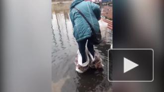 Опубликовано видео с подтопления после дождей в Тосно