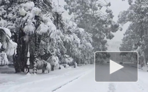 Видео из Абхазии: регион утопает в снегу, движения парализовано, коммунальщики не справляются 