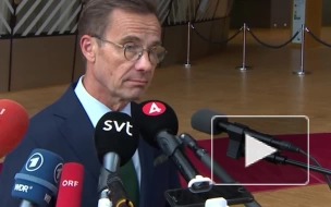 Шведский премьер намерен обсудить с Орбаном вопрос вступления в НАТО