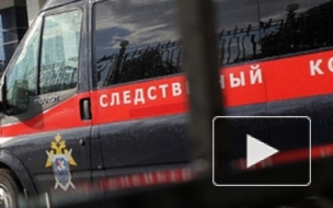 Вымогатели, которые держали пенсионерку из Петербурга в клетке,  до смерти замучили ее дочь