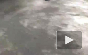 Водители не могли выехать с парковки на Пулковском шоссе из-за "притаившихся" в снегу полусфер