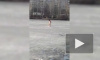 Странный нудист делал зарядку на льду озера в Новом Девяткино
