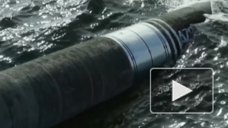 В Германии назвали санкции США против "Северного потока-2" угрозой ЕС