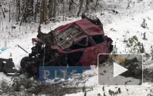 Водитель легковушки погиб после столкновения с фурой под Псковом