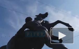 Одного из коней Клодта на Аничковом мосту повредили хулиганы