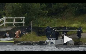 Брейвик стал «истинным арийцем» после пластической операции