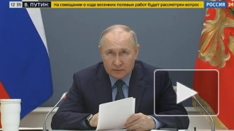 Путин заявил, что аграрии в новых регионах должны получать необходимую поддержку