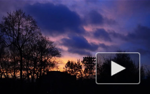 К обеду среды в Петербурге усилится ветер