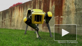 Видео: Boston Dynamics показали своего самого милого робота