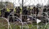 Белорусские пограничники опубликовали видео с афганскими беженцами на границе с Польшей