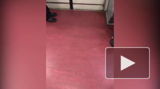 Петербуржцы засняли на видео "шизофреничку" в метро