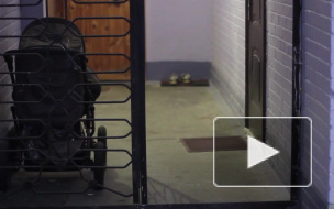 Извращенец из Перми 9 месяцев жестоко насиловал 10-летнюю падчерицу