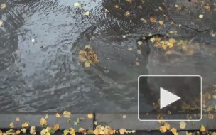 Прорыв трубы с горячей водой на Народной