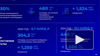 На поддержку аграриев с проектами по мелиорации в 2023 году выделят 8 млрд рублей