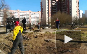 Тяжелый случай: петербургские бомжи защищают свой мусор от коммунальных служб