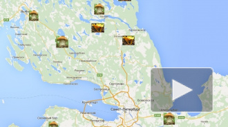 Где собирать грибы в Ленинградской области в 2016 году: карта и советы