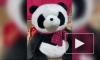 До 4 лет тюрьмы грозит похитителю игрушечной панды из Братска