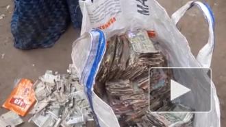 Насекомые забрались в сундук и съели полмиллиона рублей
