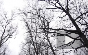 Рецидивист жестоко изнасиловал припозднившуюся девушку в Полежаевском парке