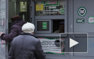 Петербуржцы проводят в туалете все свободное время