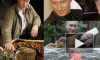 Путин и журавли: к любви электората – через любовь к братьям меньшим