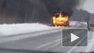 Видео: Под Тюменью загорелся автобус со школьниками