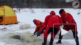 К поискам утонувшей в реке Оредеж женщины подключатся водолазы из Москвы