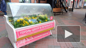 В Бертгольд-центре установили морозильную камеру с "маленькими трагедиями" петербуржцев