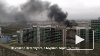 Появилось видео пожара в Мурино