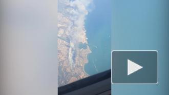 Более тысячи гектаров леса сгорело на юге Франции