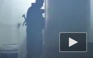 "Безобидный" охотник-рыболов вырастил в Кронштадте 22 куста марихуаны