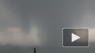 Торнадо в США поднял в воздух коров