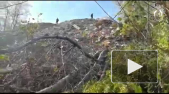 Опубликовано видео с места убийства 16-летней школьницы в Адыгее, которая пропала в мае по дороге из школы