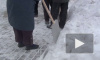 Снежная зачистка - субботник в Красногвардейском районе