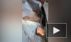 Видео: с дома на Ленсовета упал кусок балкона