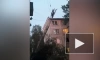 С дома на проспекте Большевиков сняли Человека-паука – видео