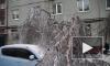 Мишустин отправил министра во Владивосток после ледяного дождя 