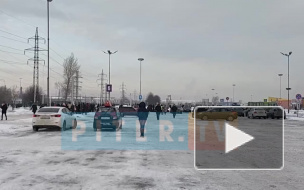 СМИ: у спецслужб закончились собаки, способные учуять бомбы