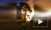Видео: в Сестрорецке ночью горел двухэтажный дом