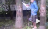 На Белградской улице женщина попыталась спилить дерево, чтобы оно не придавило дом во время урагана