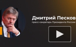 Песков прокомментировал кандидатуры в будущую администрацию Трампа