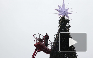 "Золотую" ель за 15 млн Петербургу подарили на деньги спонсоров