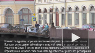 Петербург зачистят от нелегальных гидов в разгар сезона