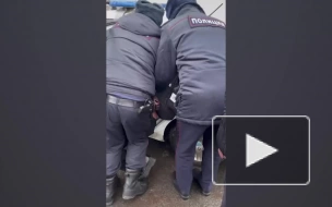 В Петербурге полицейские скрутили школьницу, перешедшую дорогу в неположенном месте