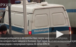 Труп молодого утопленника в Ижоре напугал жителей Колпина