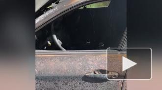 Три иномарки сгорели ночью на севере Петербурга