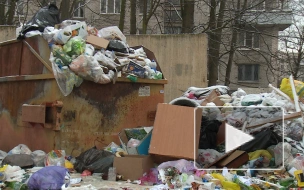 Петербуржцы продолжают жаловаться на груды мусора на улицах